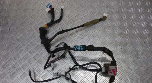 Front door wiring loom