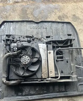 Peugeot 207 Radiator support slam panel
