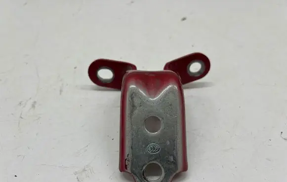 KIA EV6 Rear door lower hinge