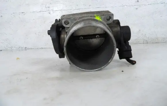 Throttle body valve