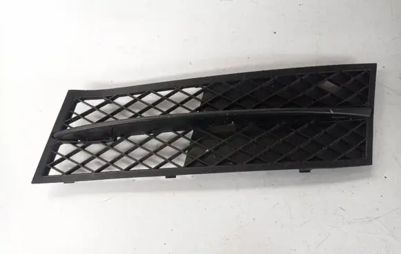 Front bumper lower grill