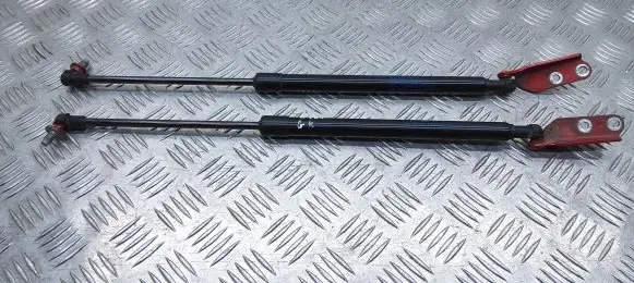Nissan Micra K14 Tailgate/trunk strut/damper 904505FA1A