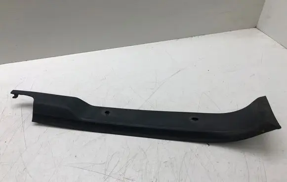 Rear/tail light trim molding