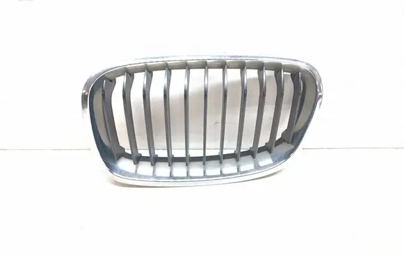 BMW 1 F20 F21 Front bumper upper radiator grill 7239021