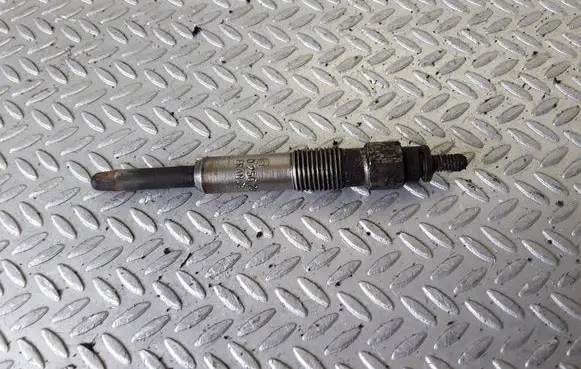 Renault Scenic I Glow plug 0250202025