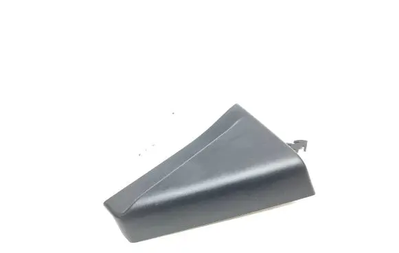Other rear door trim element