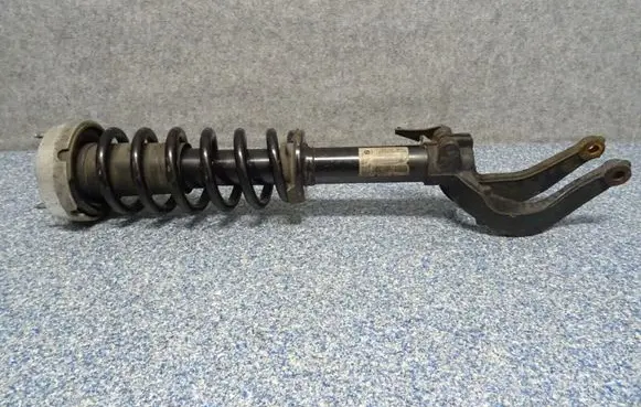 BMW X6 E71 Front shock absorber with coil spring