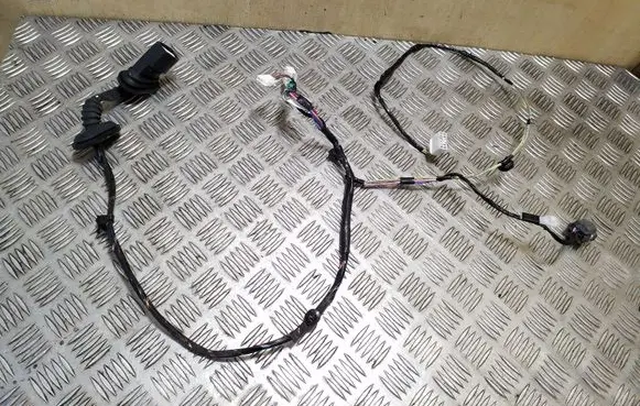 Rear door wiring loom