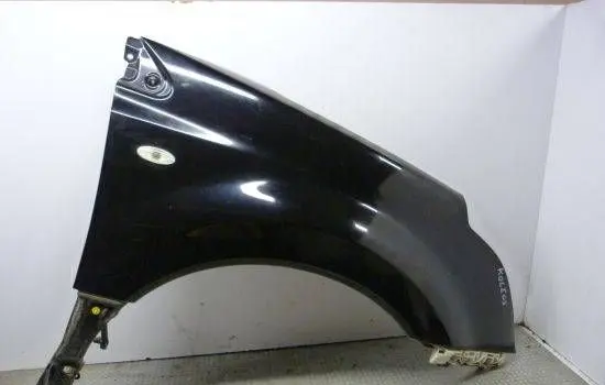 Renault Koleos I Fender