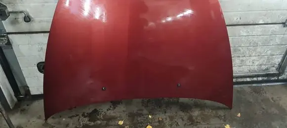 Engine bonnet/hood