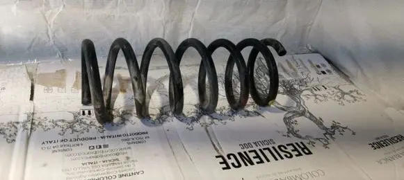 Chevrolet Captiva Front coil spring