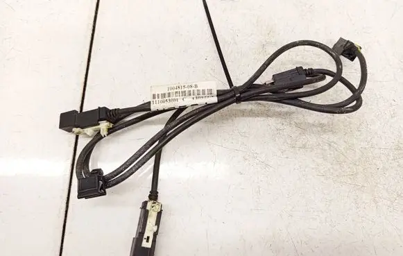 Tesla Model S Other wiring loom 100481508B