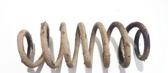 Honda Insight Rear coil spring