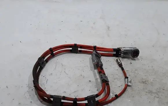 Other wiring loom