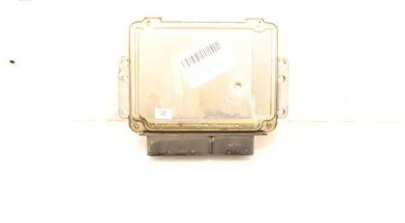 Engine control unit/module ECU