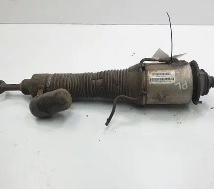 Volkswagen Phaeton Front shock absorber/damper 3D0616039T