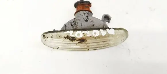 Front fender indicator light