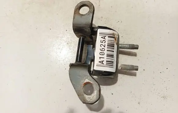 Rear door lower hinge