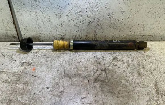 Hyundai Santa Fe Rear shock absorber/damper