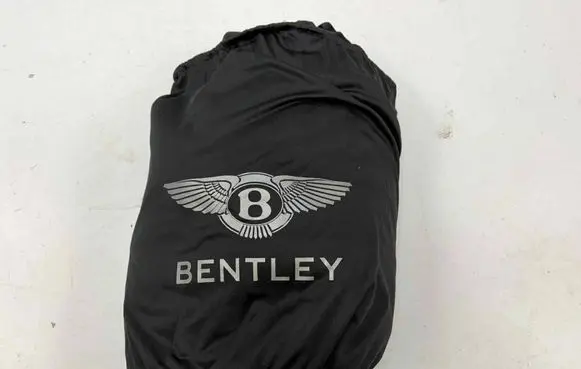 Bentley Flying Spur Ski bag 3SE861985