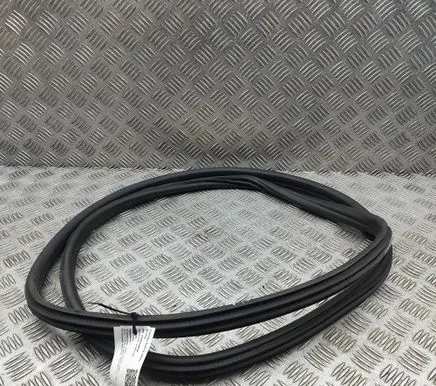 BMW X4 G02 Rubber seal rear door 7416517