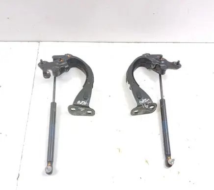 Tailgate/trunk/boot hinge