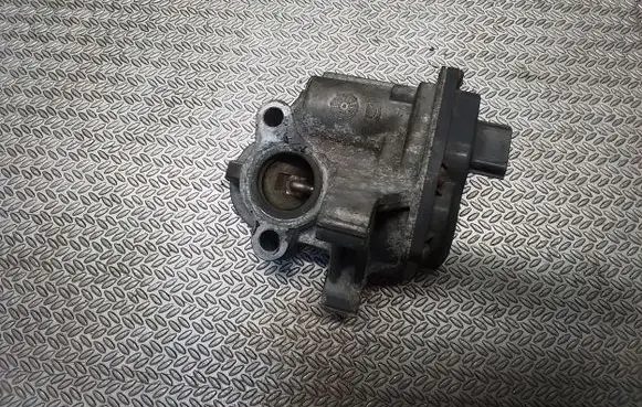 EGR valve