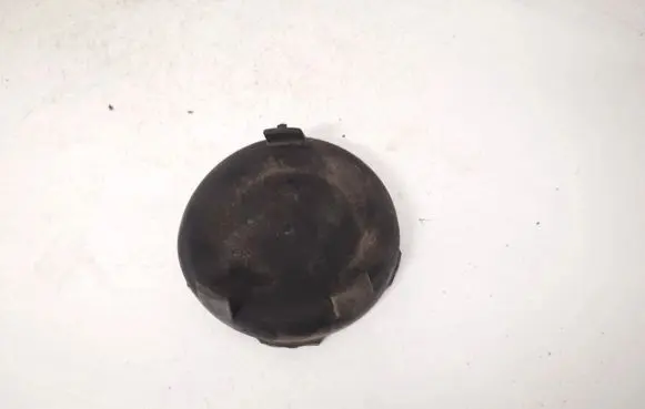 Headlight/headlamp dust cover