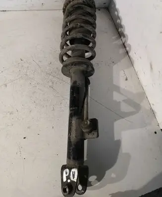 Chrysler 300 - 300C Front shock absorber with coil spring