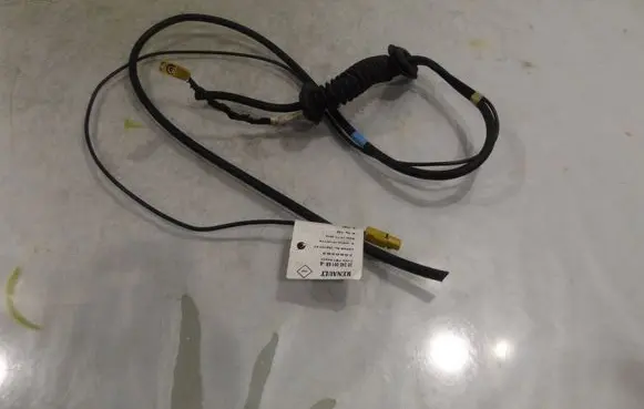 Renault Scenic III - Grand scenic III Tailgate/trunk wiring harness 282450016R