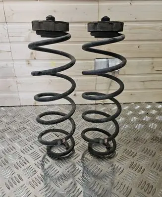 Rear coil spring