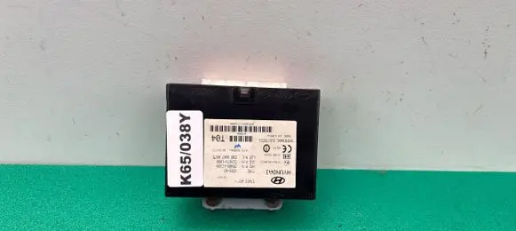 Hyundai Getz Other control units/modules 954001C200