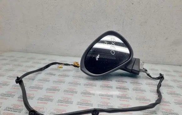 Front door electric wing mirror