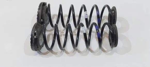 Hyundai i20 (GB IB) Rear coil spring