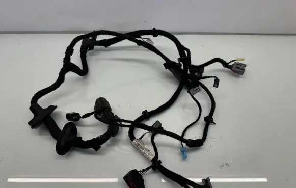 Front door wiring loom