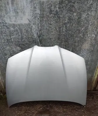 Engine bonnet/hood