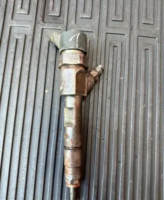 Renault Laguna II Fuel injector 0445110110B