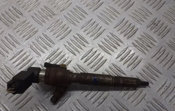 Renault Megane II Fuel injector