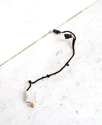 Cupra Born Wiring harness 10E971154A