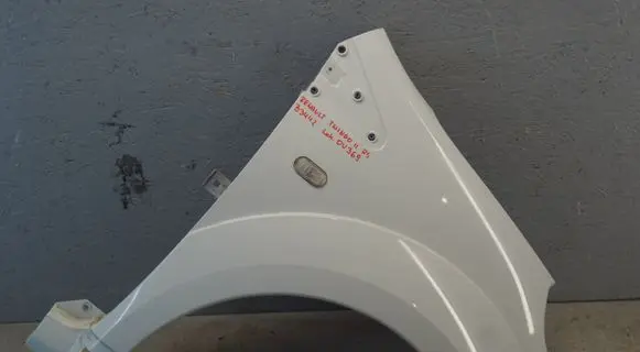 Renault Twingo II Fender 8200697814