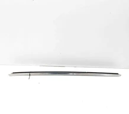 Jaguar F-Type Front door glass trim molding EX5321453BA