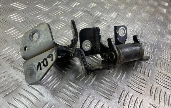 Dodge Durango Rear door hinge set 