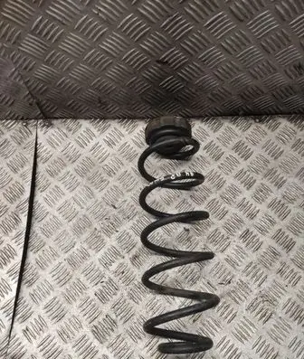 Rear coil spring