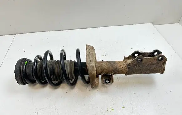 Opel Zafira C Front shock absorber with coil spring 13338924
