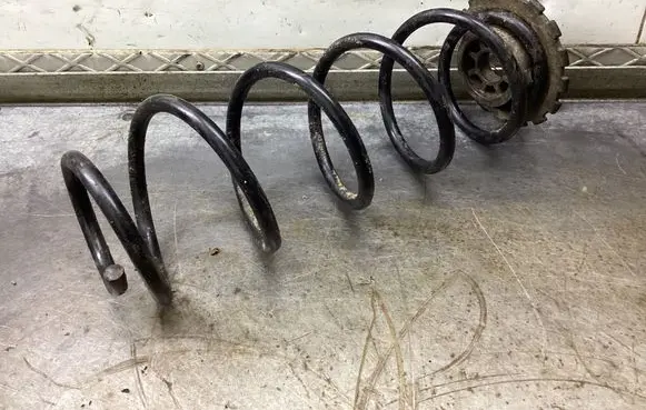 Rear coil spring