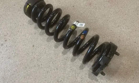 Rear coil spring