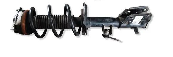 Chrysler Pacifica Front shock absorber with coil spring P68248727AD 19321172925 824904011573