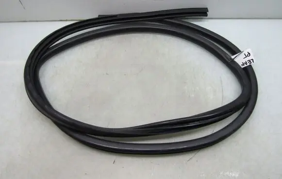 Nissan Leaf II (ZE1) Rubber seal rear door 