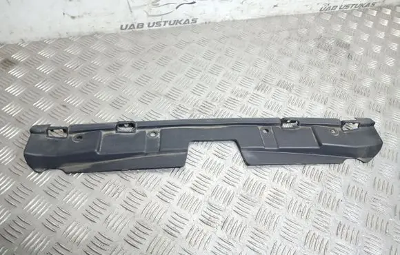 Engine bonnet/hood lock trim molding