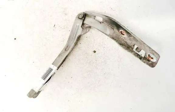 Peugeot 206 Tailgate/trunk/boot hinge